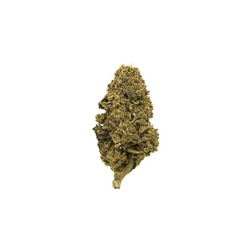 Pineapple Express Cannabis Sativa Flores CBD Multi·i
