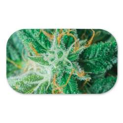 Vsyndicate Mag-Slaps Medium AK47