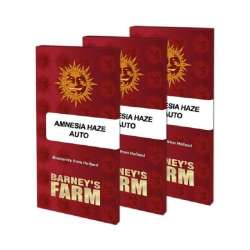 Barneys Farm Amnesia Haze...